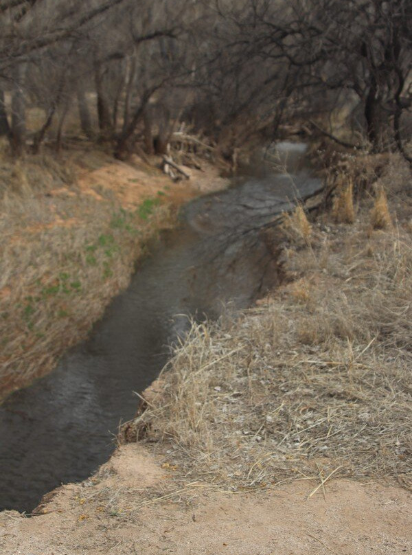 San Pedro Riparian National Conservation Area景点图片