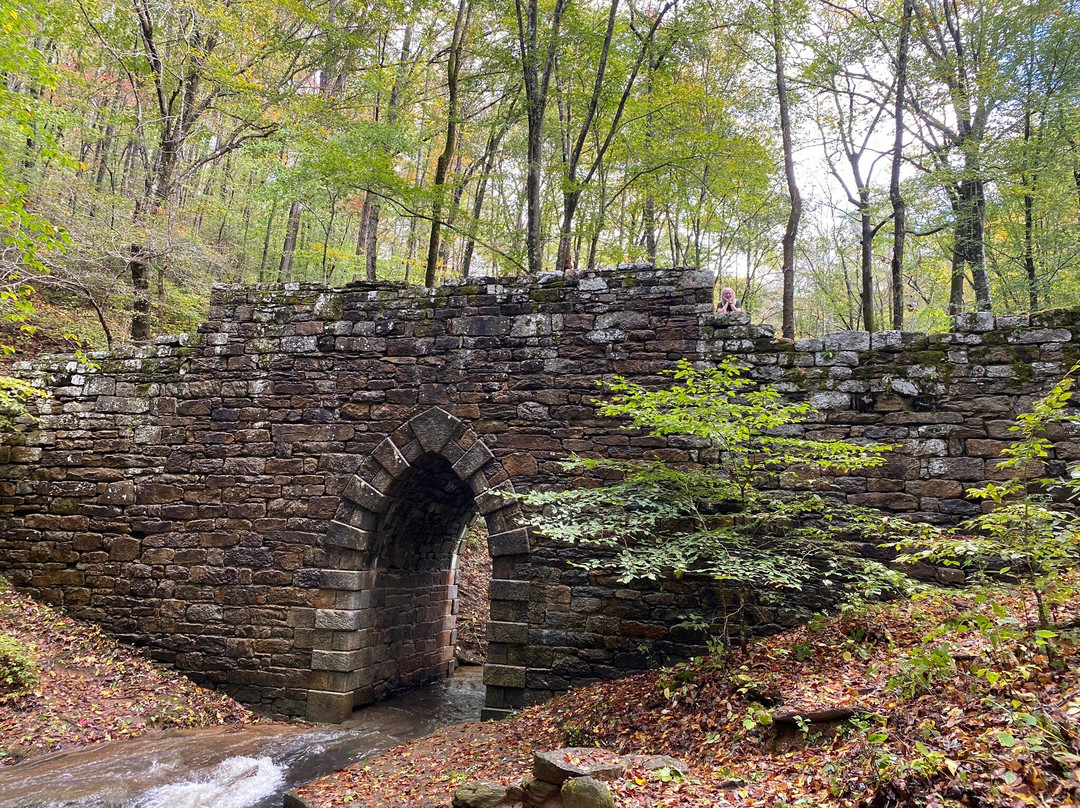 Poinsett Bridge-格林维尔必去景点