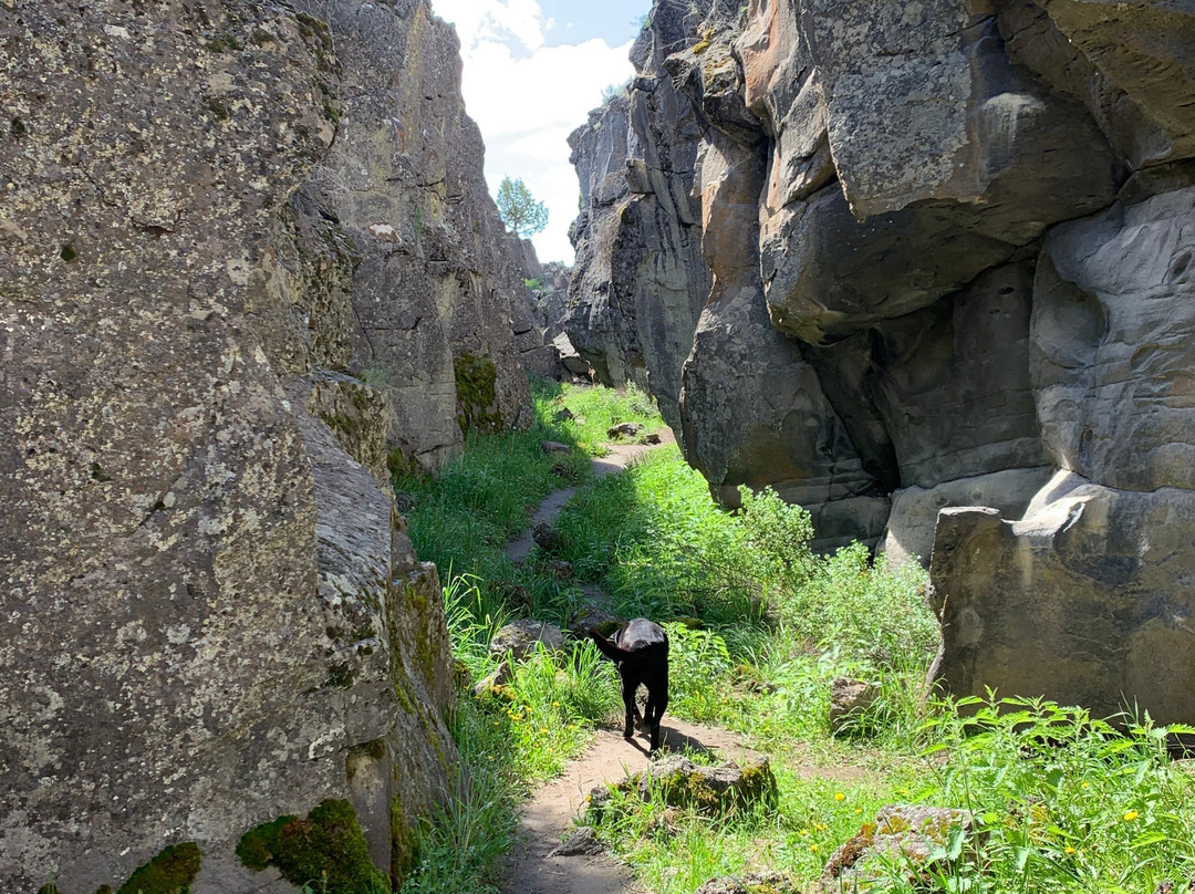 Crack in the Ground-Christmas Valley必去景点