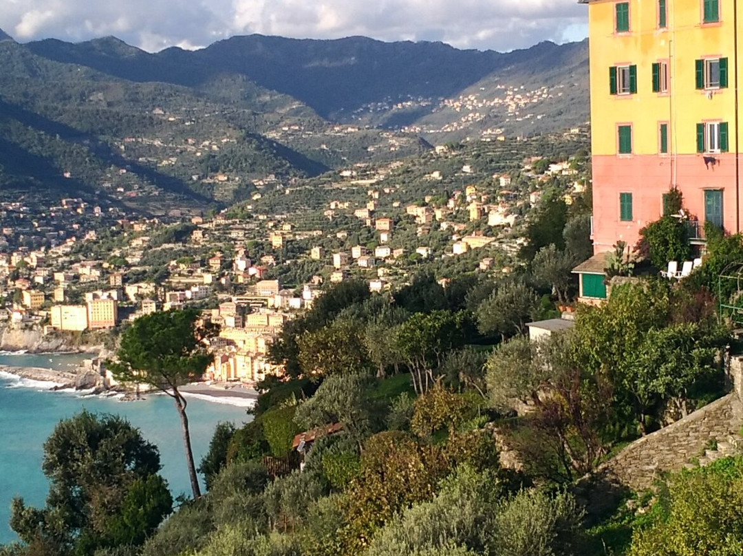Sentiero san Rocco-Batterie-san Fruttuoso景点图片