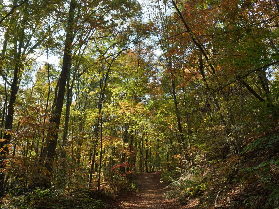 Piney Creek Falls-Spencer必去景点