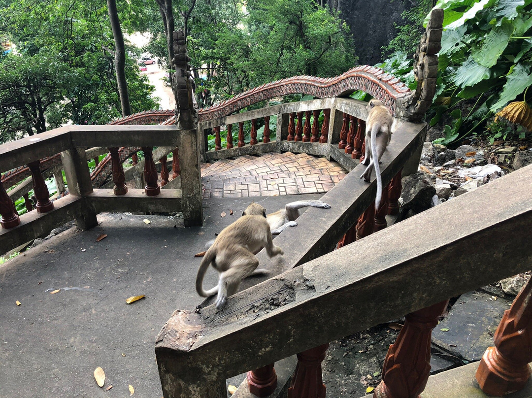 Wat Tum Khao Chakan-考茶干必去景点