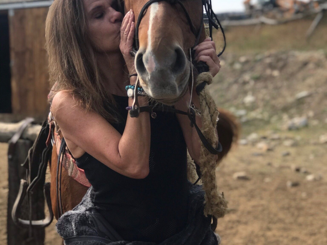 Jake's Horses-大斯凯必去景点