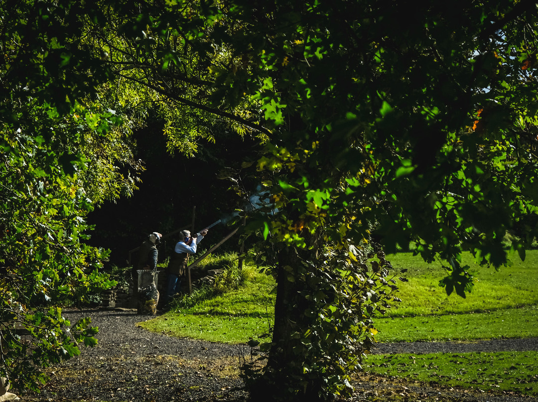 Lady’s Wood Shooting School景点图片