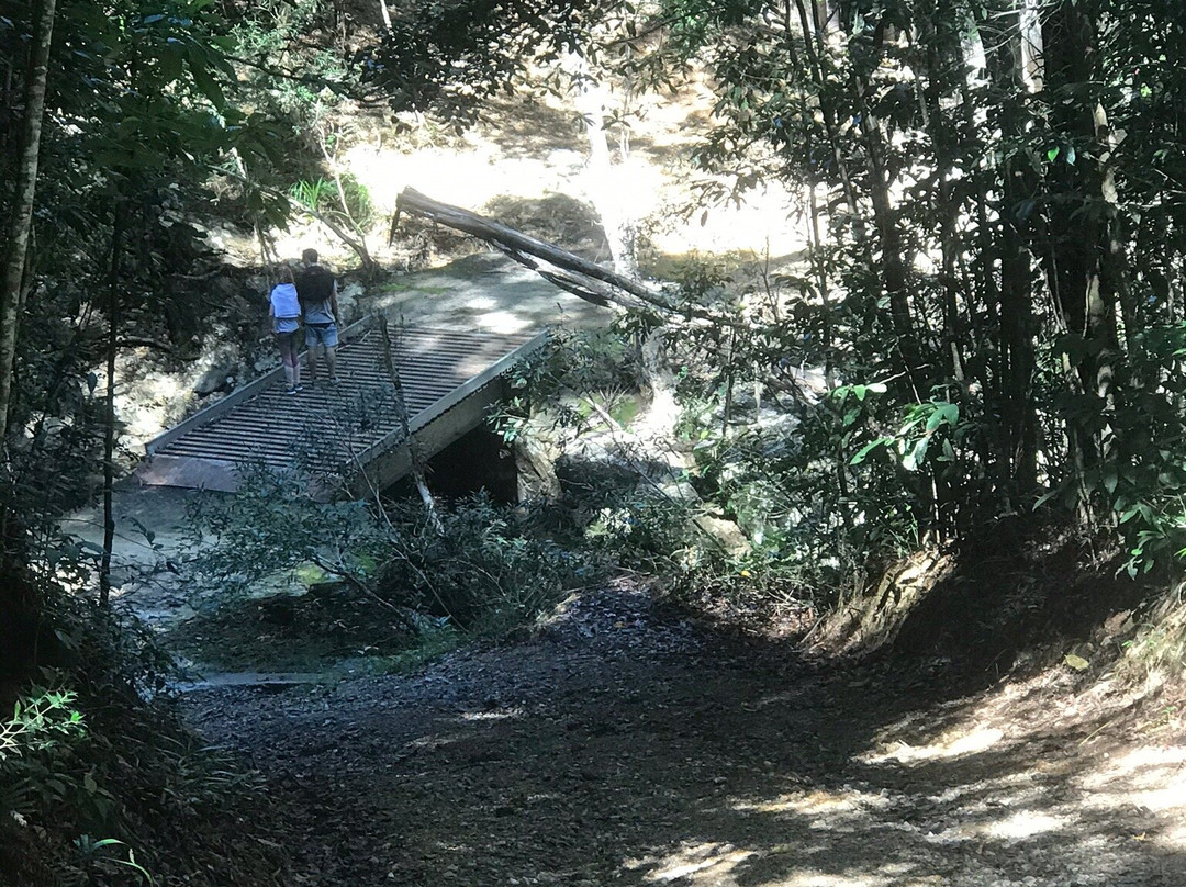 Wrights Lookout-库兰达必去景点