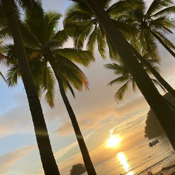 Isla Cedros旅游攻略图片