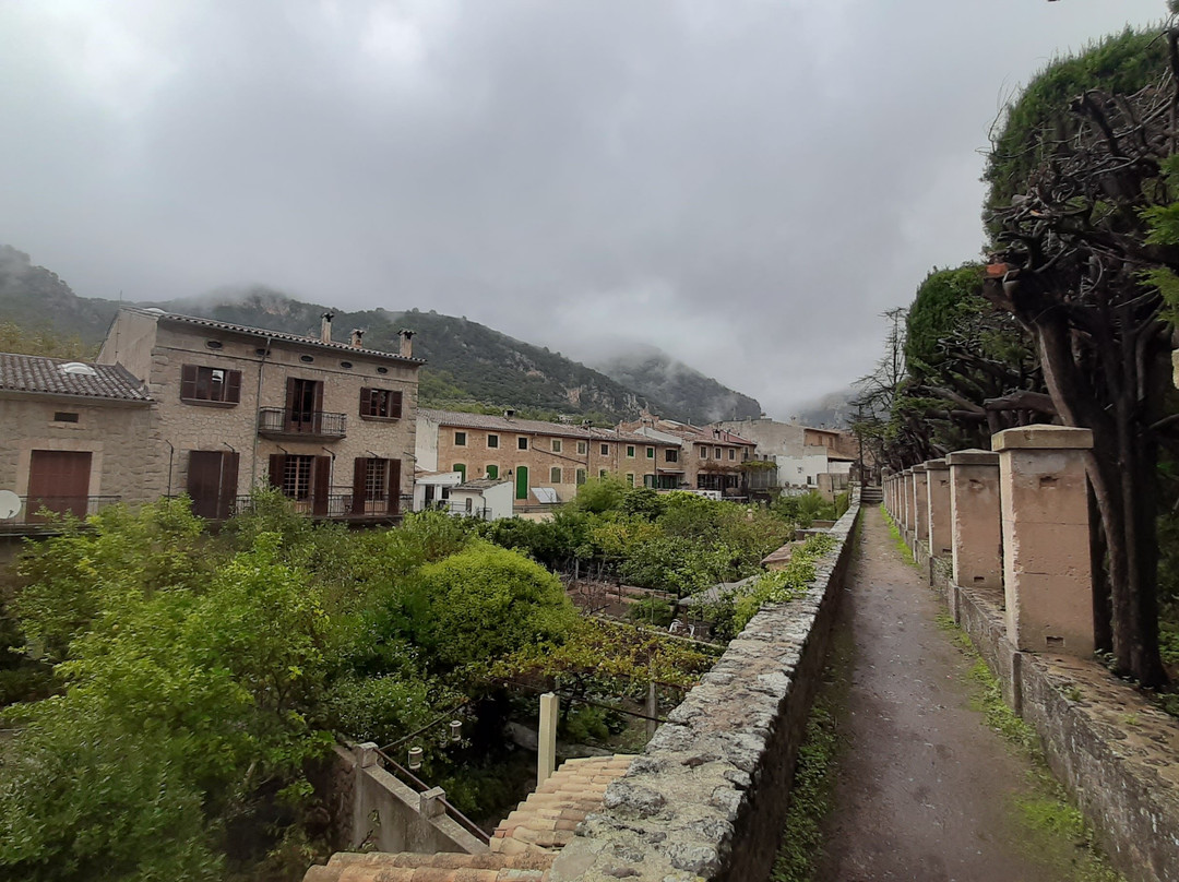 Jardins Rei Joan Carles景点图片