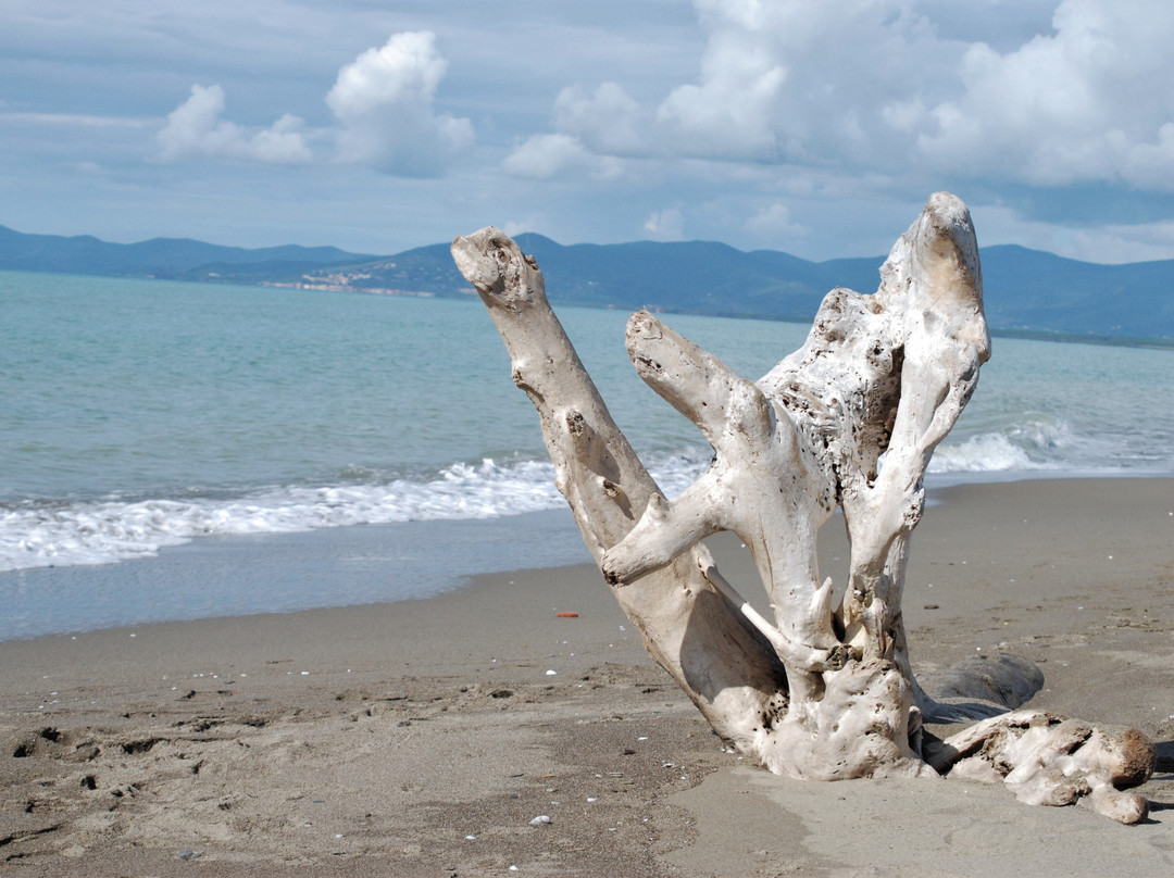 Spiaggia delle Capanne-Principina a Mare必去景点