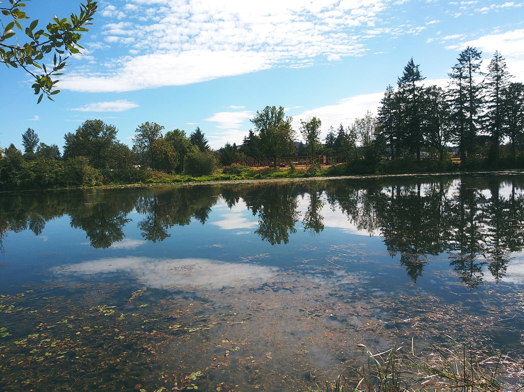 Cheadle Lake - North Shore Trail-Lebanon必去景点