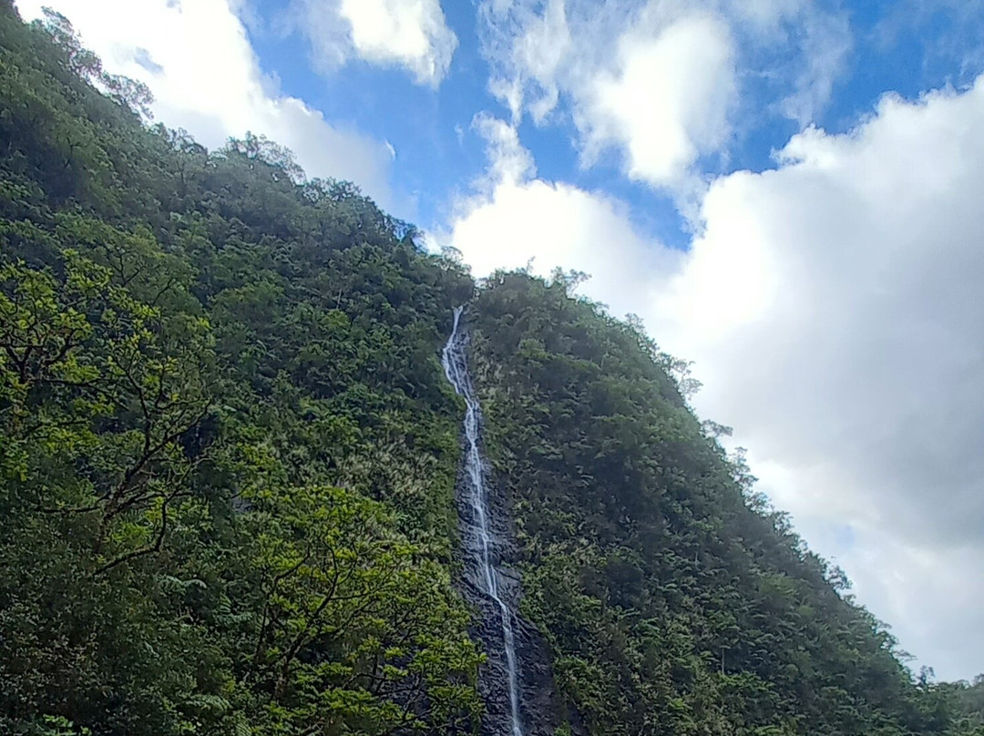 Ciao Tahiti Excursions 4x4 - Day Tours景点图片