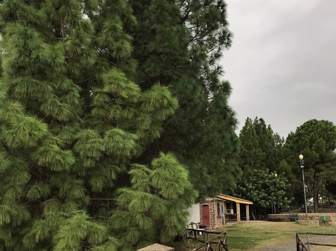 Chiesa di San Pietro Apostolo-Guamaggiore必去景点