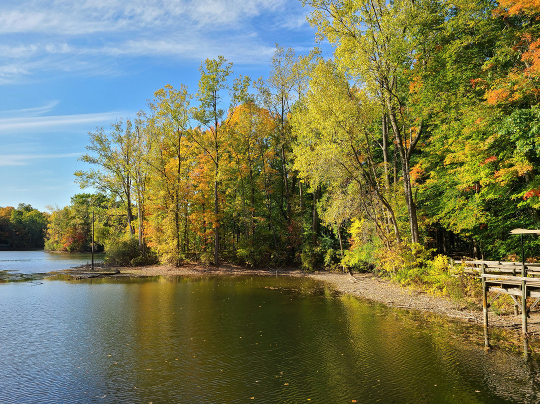 Maybury State Park-诺斯维尔必去景点