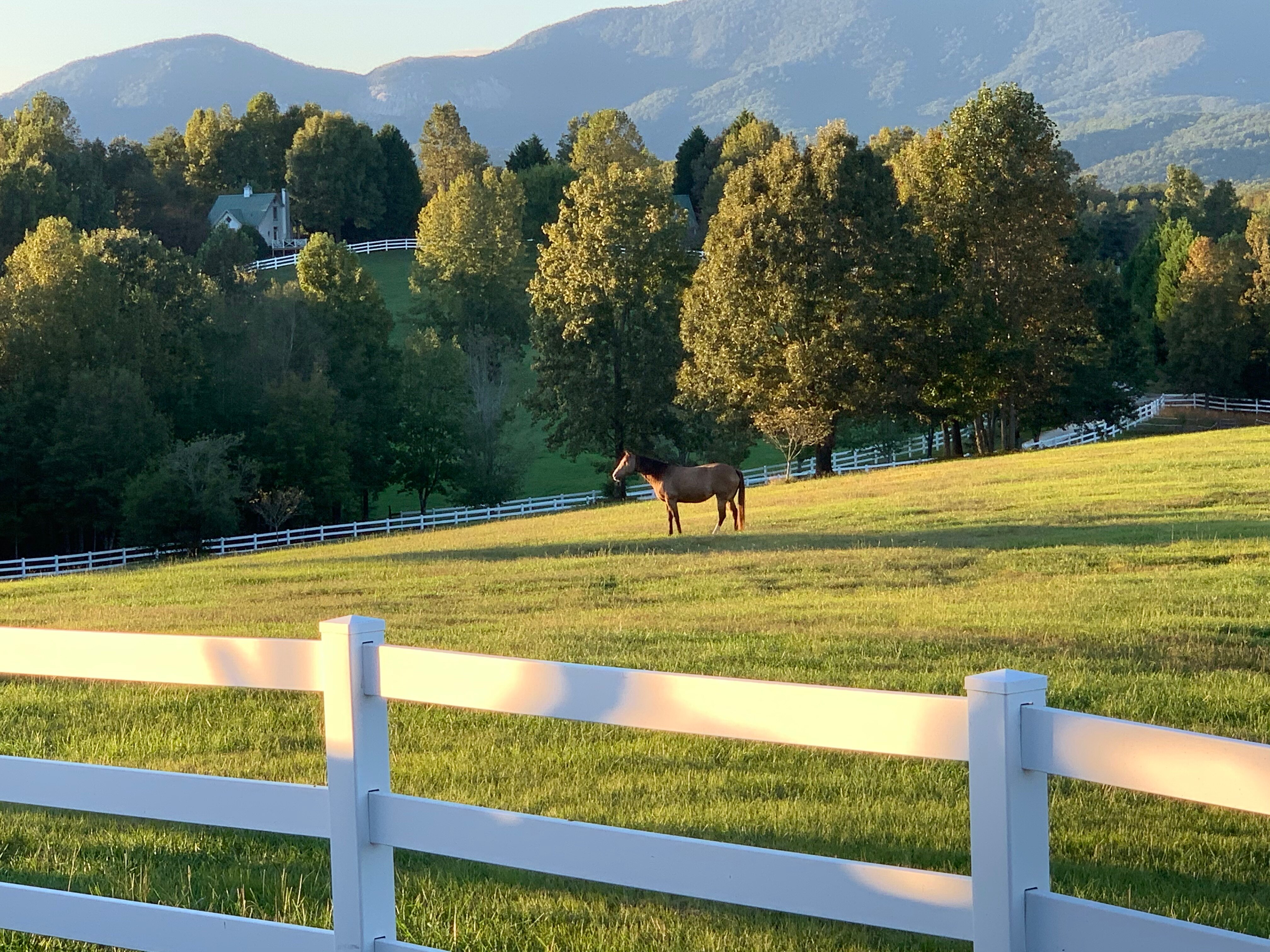 The Red Horse Inn-浴室