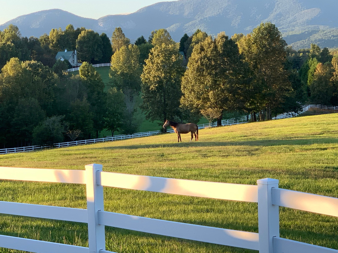 The Red Horse Inn主图