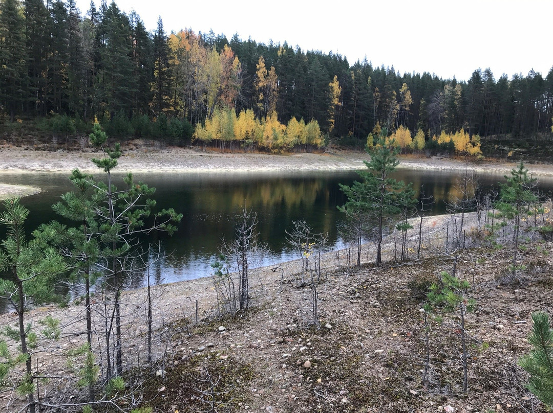 Grontjarn naturreserve-Ljusdal必去景点
