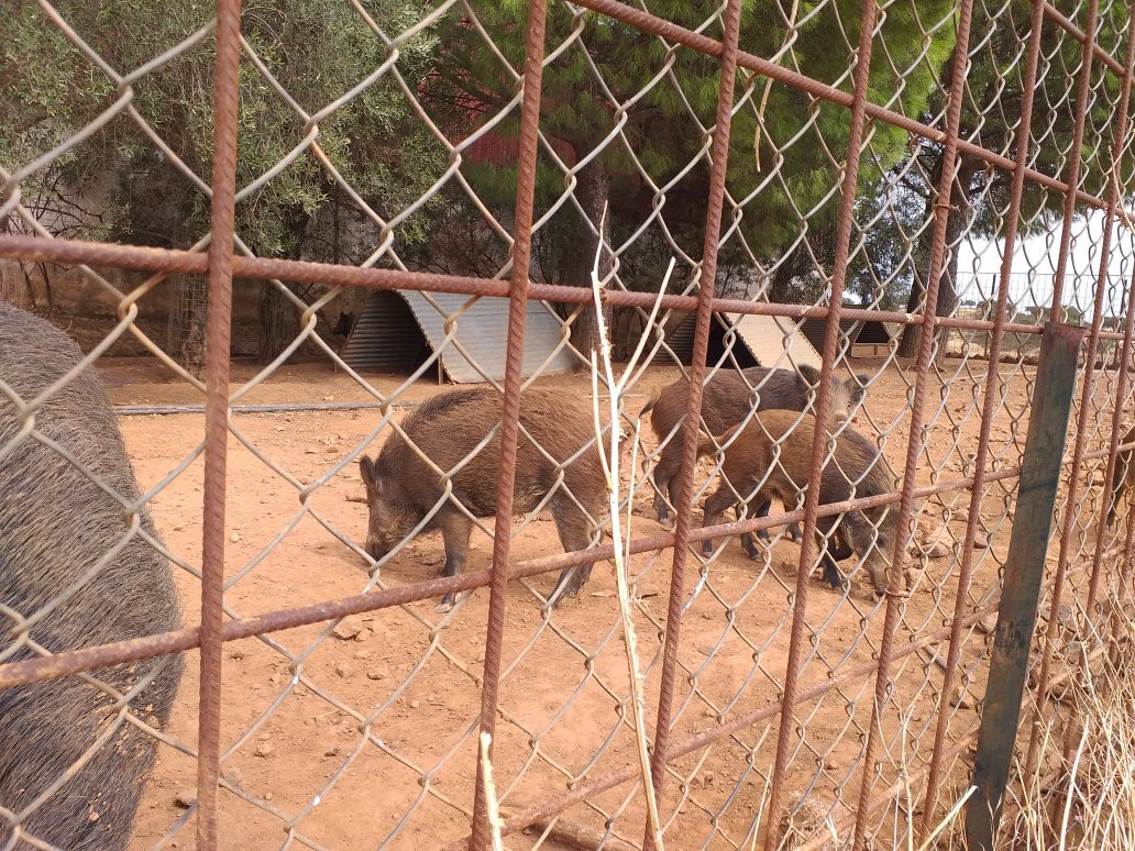 Centro Andaluz de la Fauna Salvaje景点图片