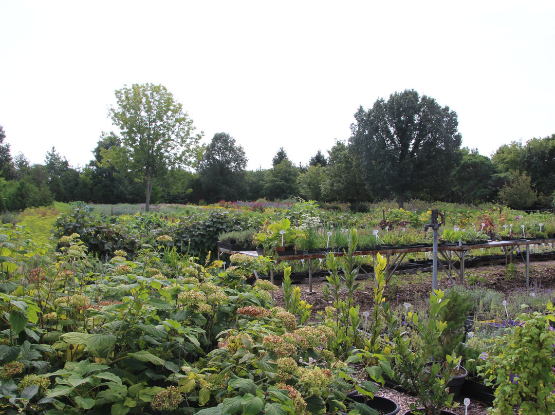 Forest Glen Herb Farm景点图片