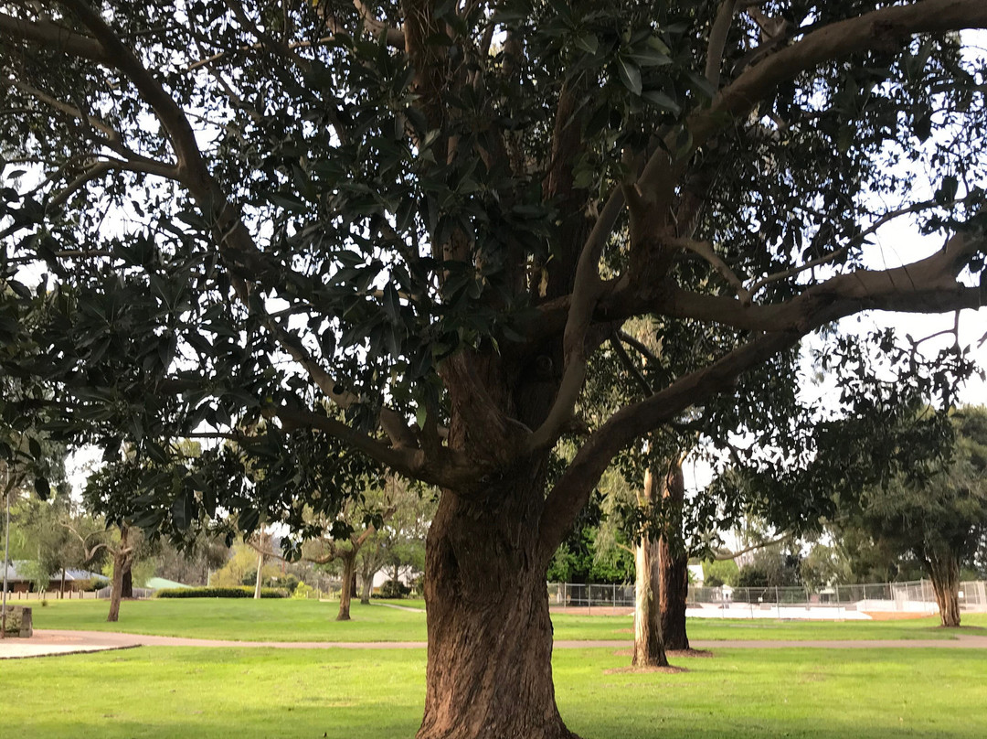 Baromi Park-Mirboo North必去景点