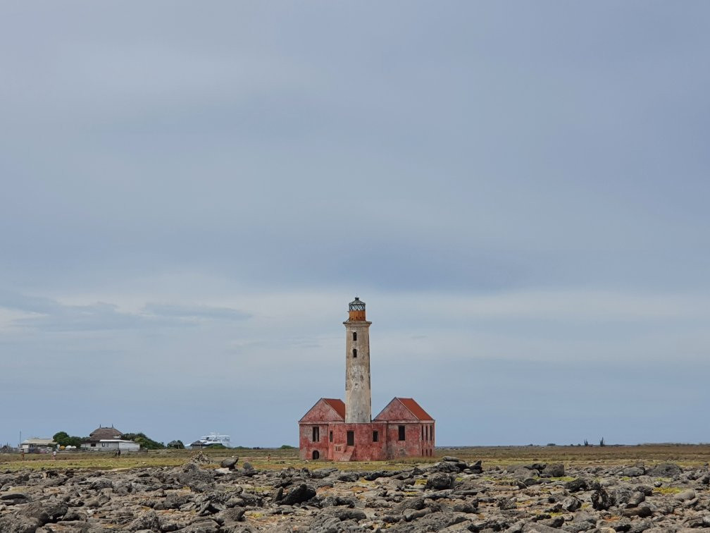 Blue C Watersports - Curacao Boat Trips-威廉斯塔德必去景点