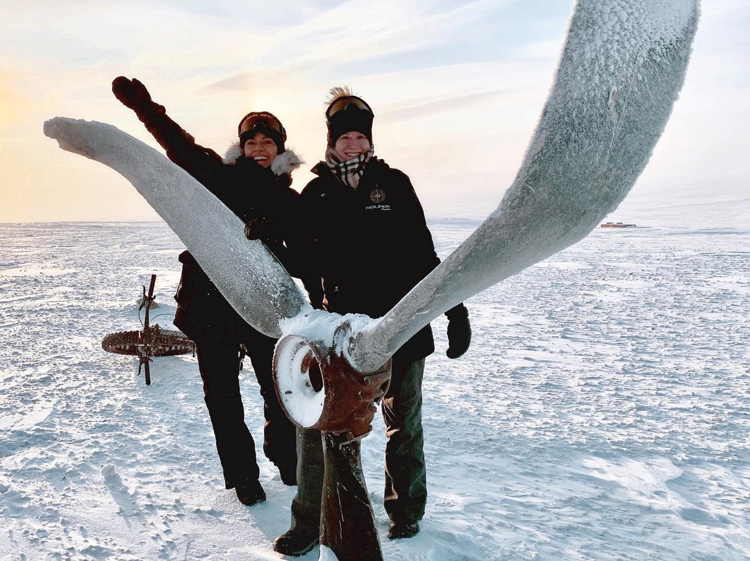 Resolute旅游攻略图片