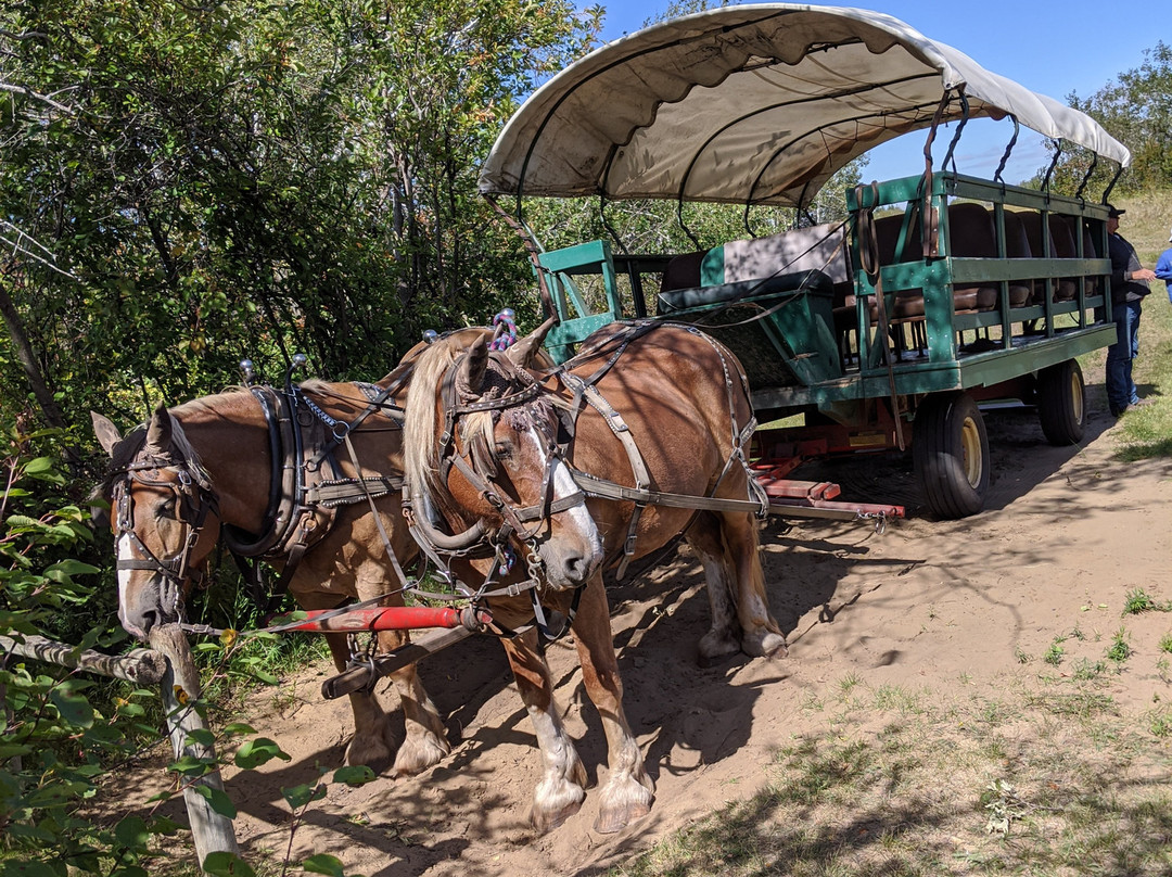 Carberry (Spirit Sands) Desert-Carberry必去景点