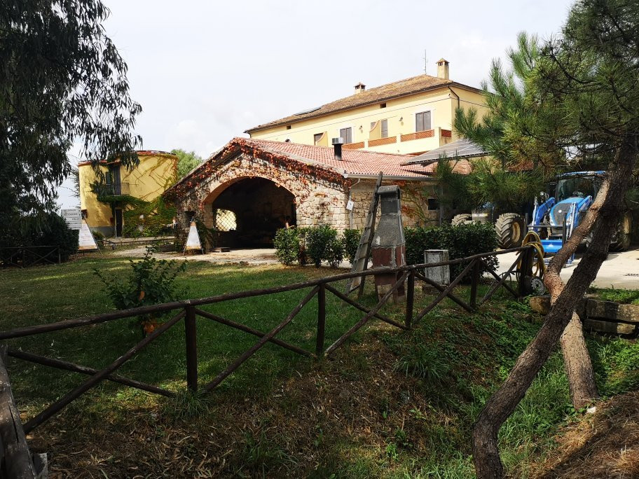 La Petrosa - Azienda agricola主图