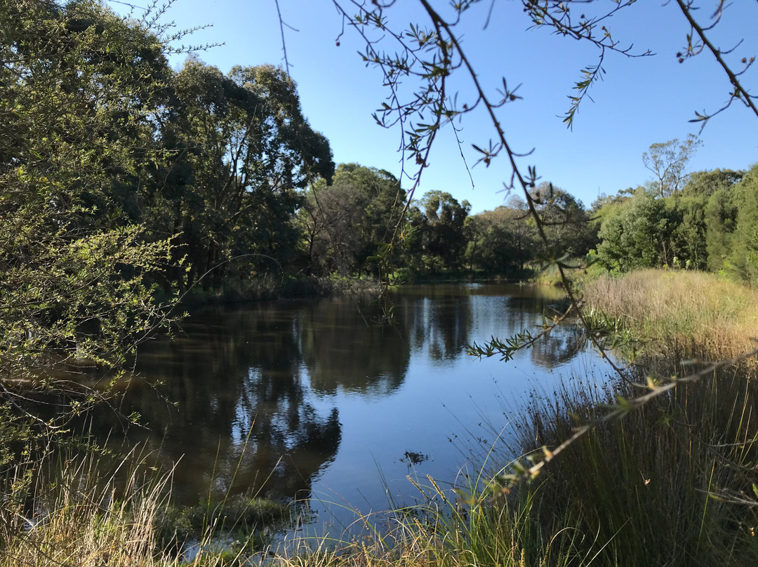 Heyfield Wetlands Information Centre-Heyfield必去景点