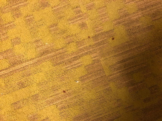 American Inn & Suites Ionia