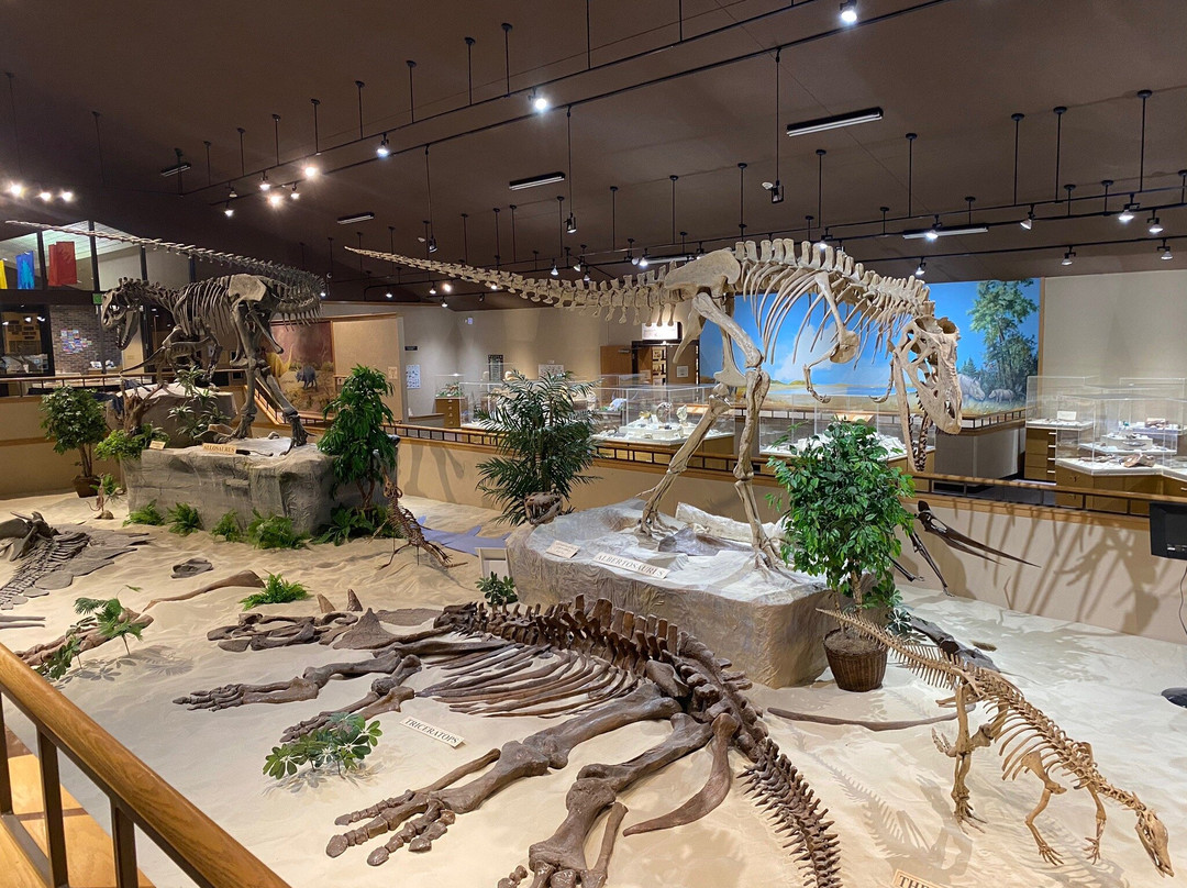 Dickinson Museum Center景点图片