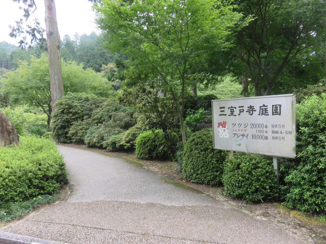 Mimuroto-ji Temple Garden景点图片