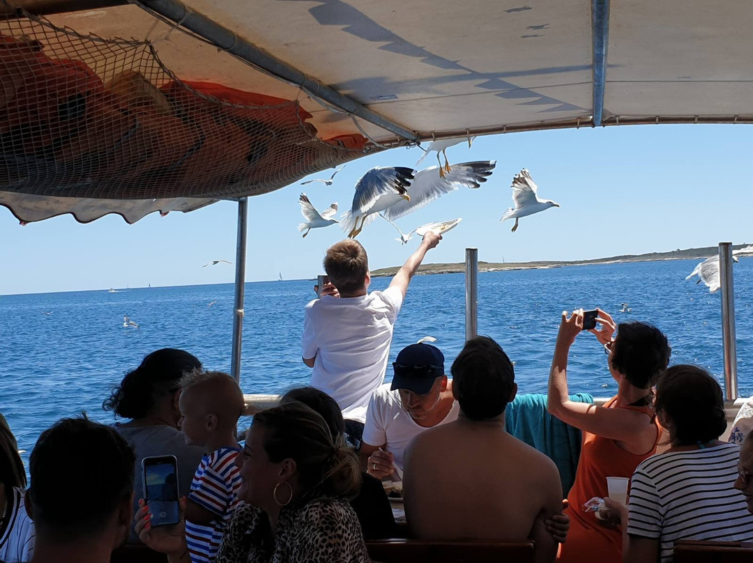 Brijuni Excursions-普拉必去景点