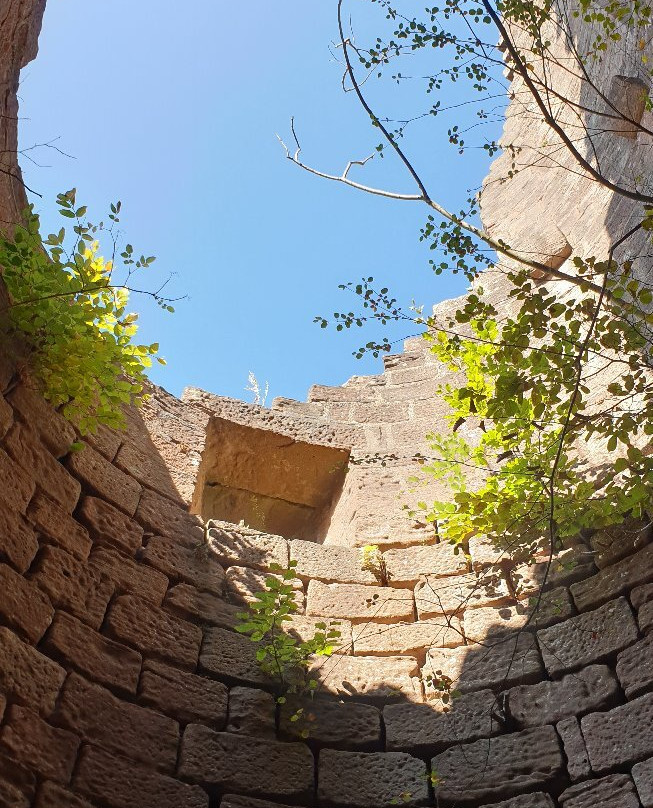 Chateau de Landsberg景点图片
