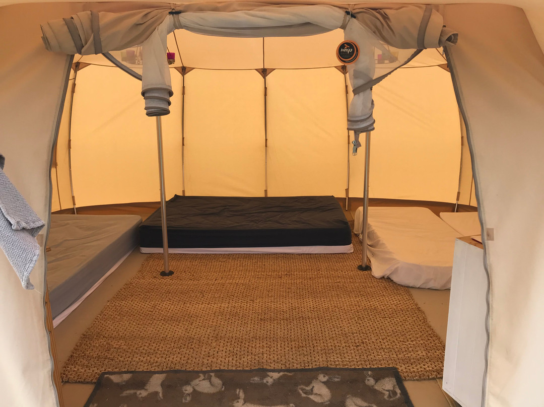 Little Rock Cottage Camping and Glamping