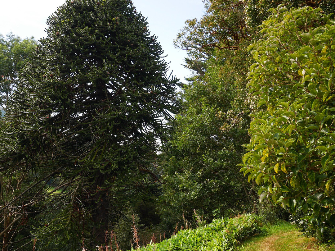 Enniskeen Country House Hotel主图