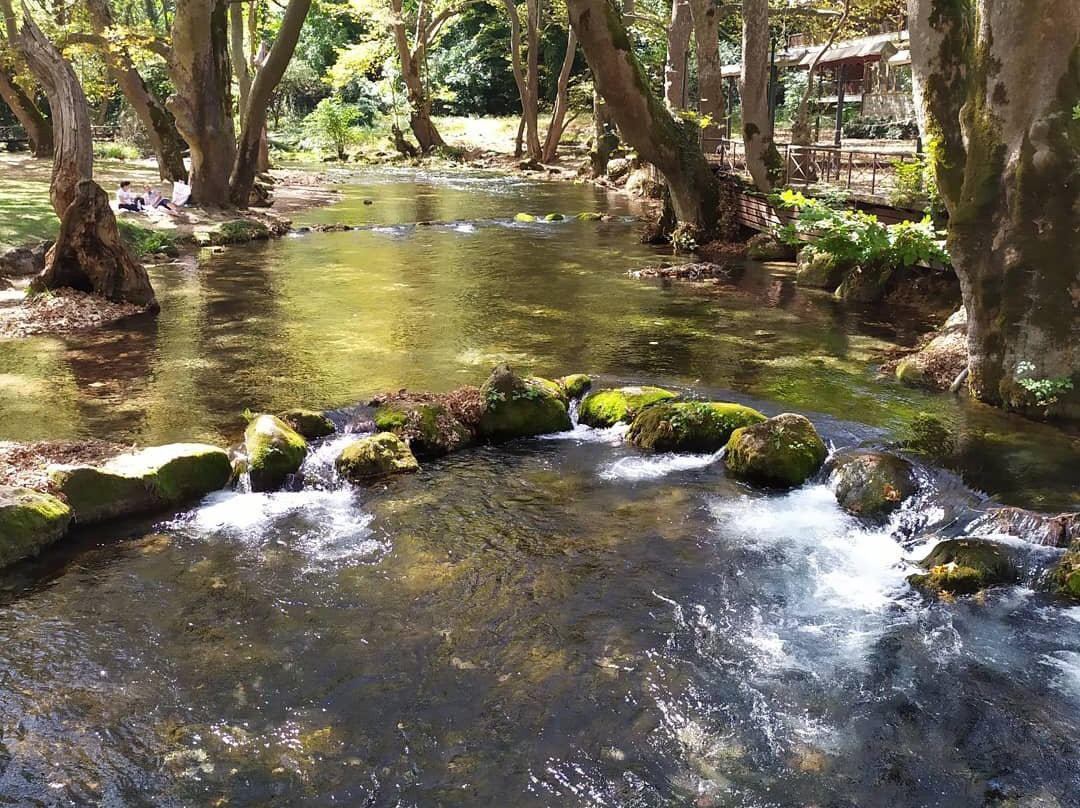 Agios Nikolaos Park-Naousa必去景点