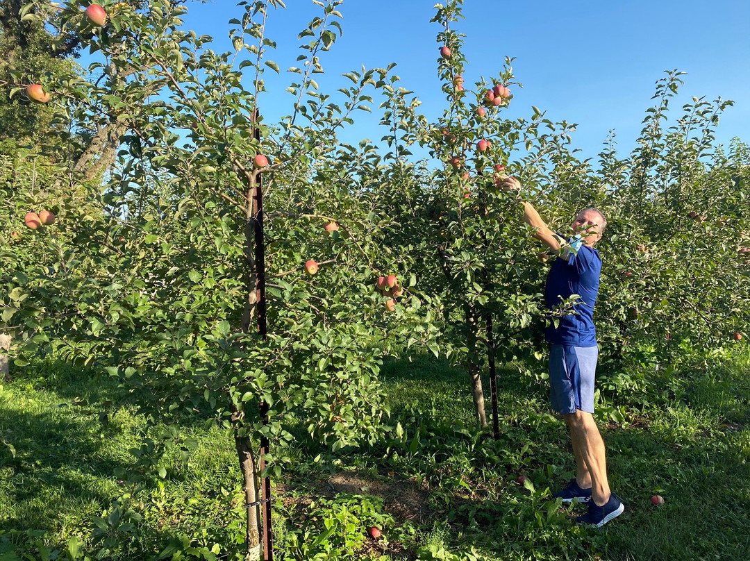 County Line Orchard景点图片