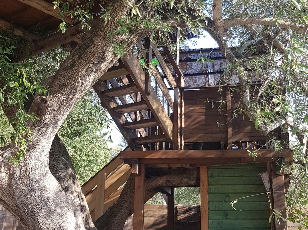 B&B Casa Dei Nonni主图