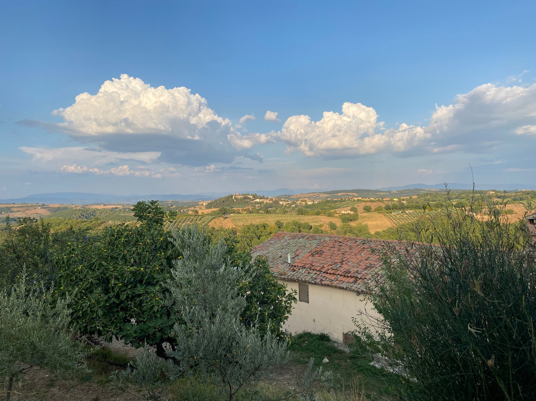 Bio Agriturismo Olivastrella主图
