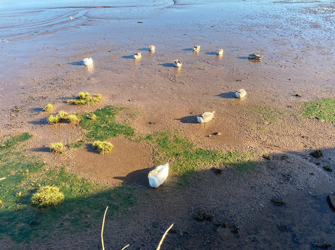 Belhaven Beach-Dunbar必去景点