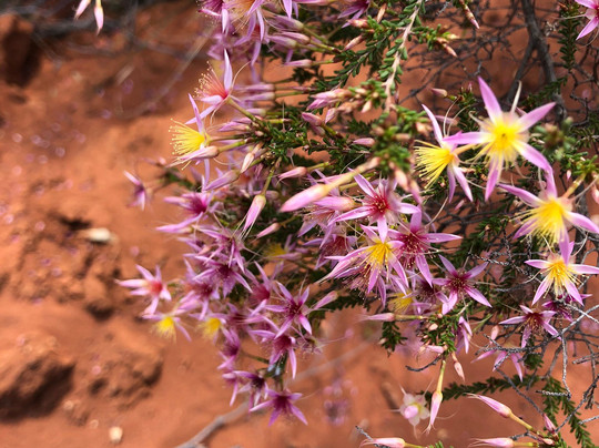 Alton National Park-St George必去景点