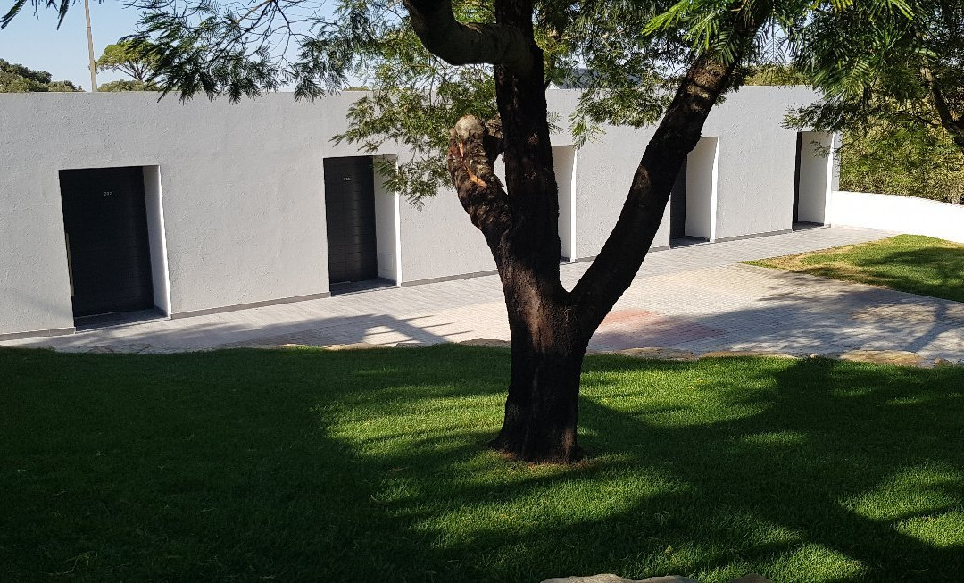 Solar da Portela主图