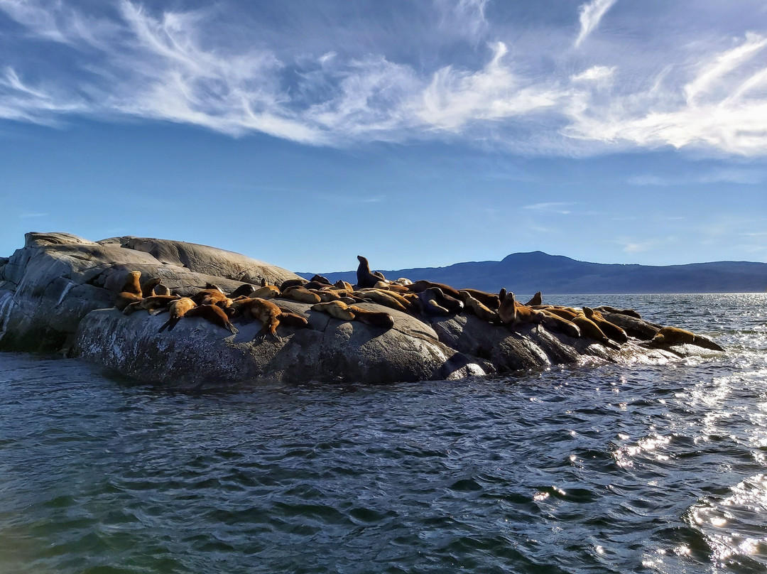 Egmont Adventure Center-Egmont必去景点