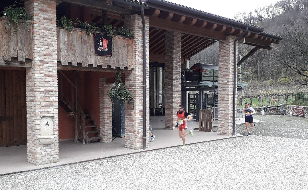 Cantina Frozza di Vidor景点图片
