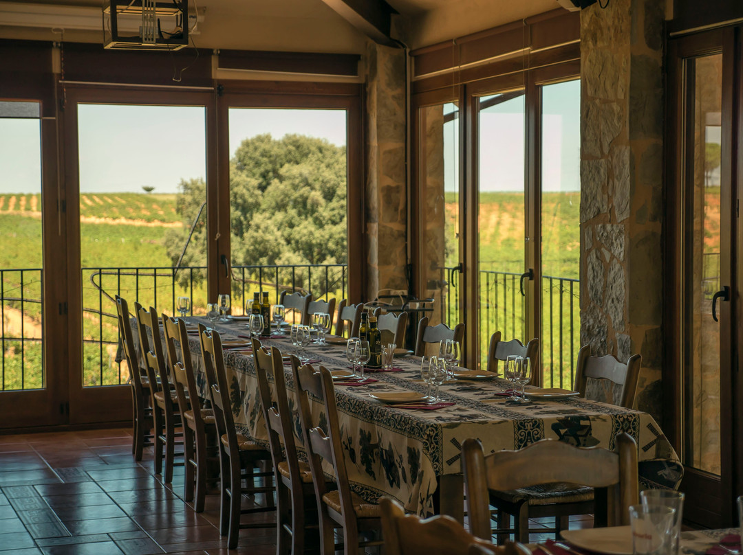 Bodega Vitis Natura景点图片