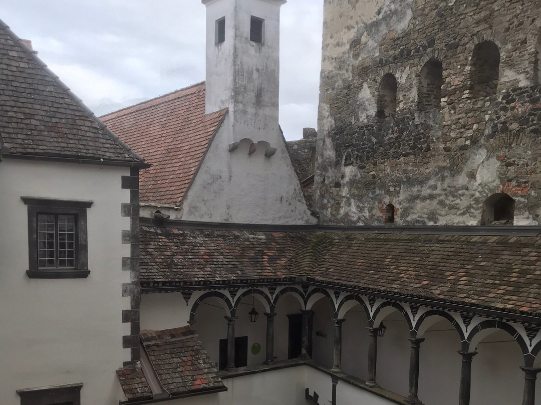 Schallaburg Castle景点图片