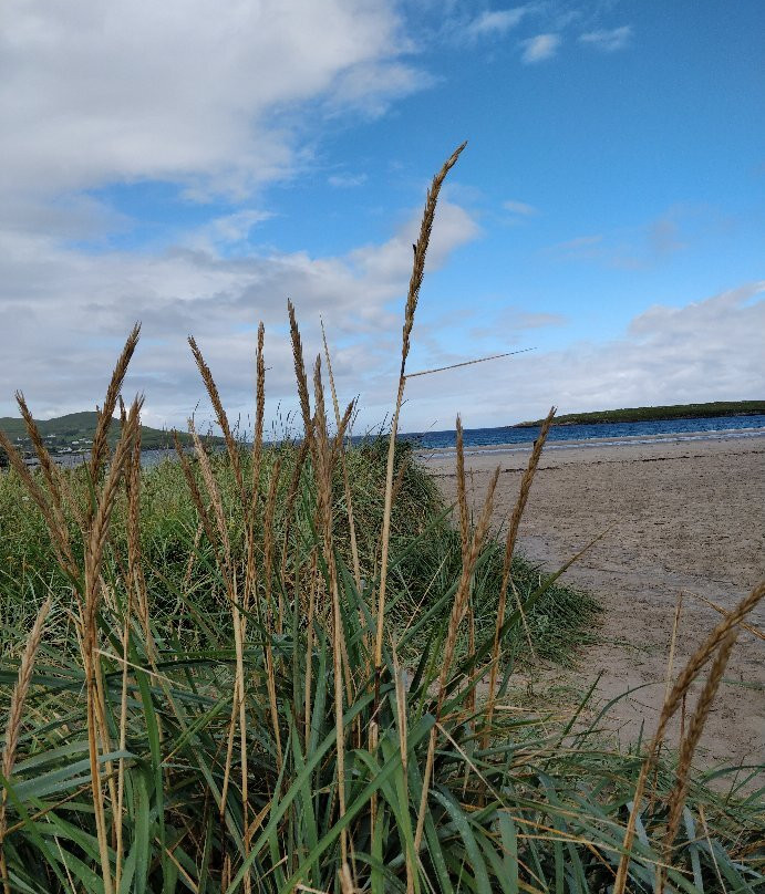 Narin Beach景点图片