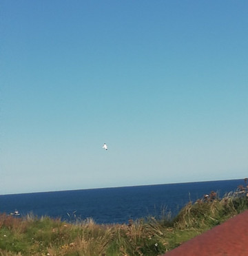 Eyemouth Fort-Eyemouth必去景点