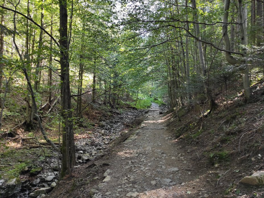 Ku Dziurze Gorge-扎科帕内必去景点