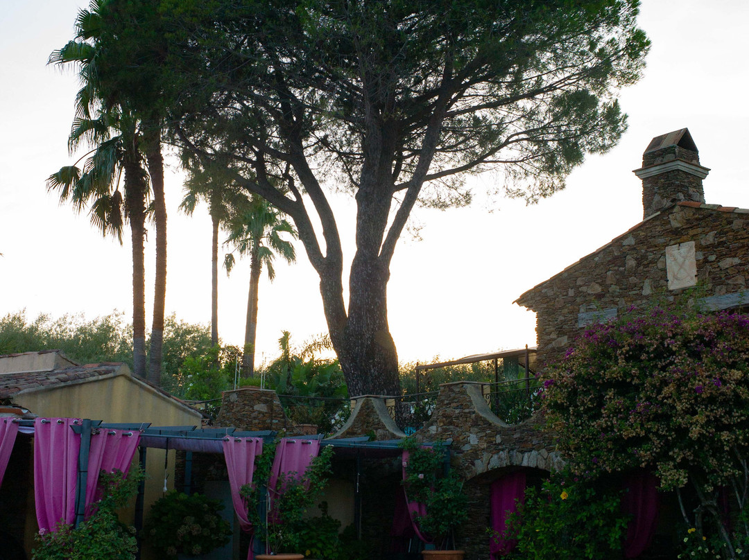 Parfum de Roses主图