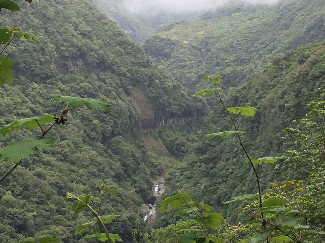 Les Cascades de Takamaka景点图片